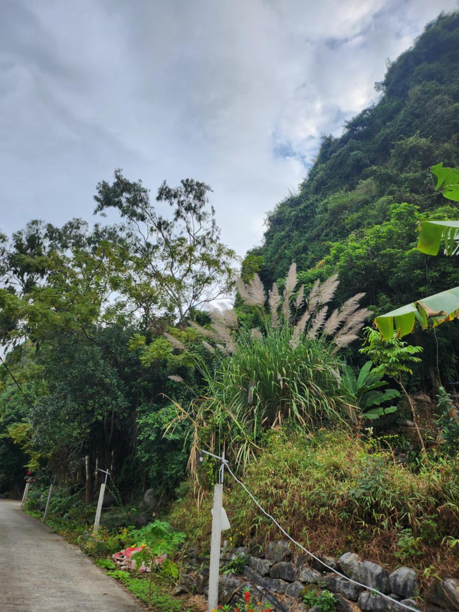 2Stones Cat Ba Homestay Chan Chau Exterior foto